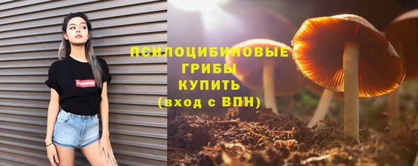 дурь Алзамай