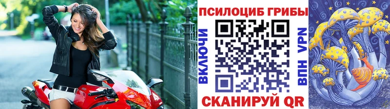 блэк спрут как зайти  Сосновый Бор  Псилоцибиновые грибы Psilocybine cubensis  где можно купить наркотик 
